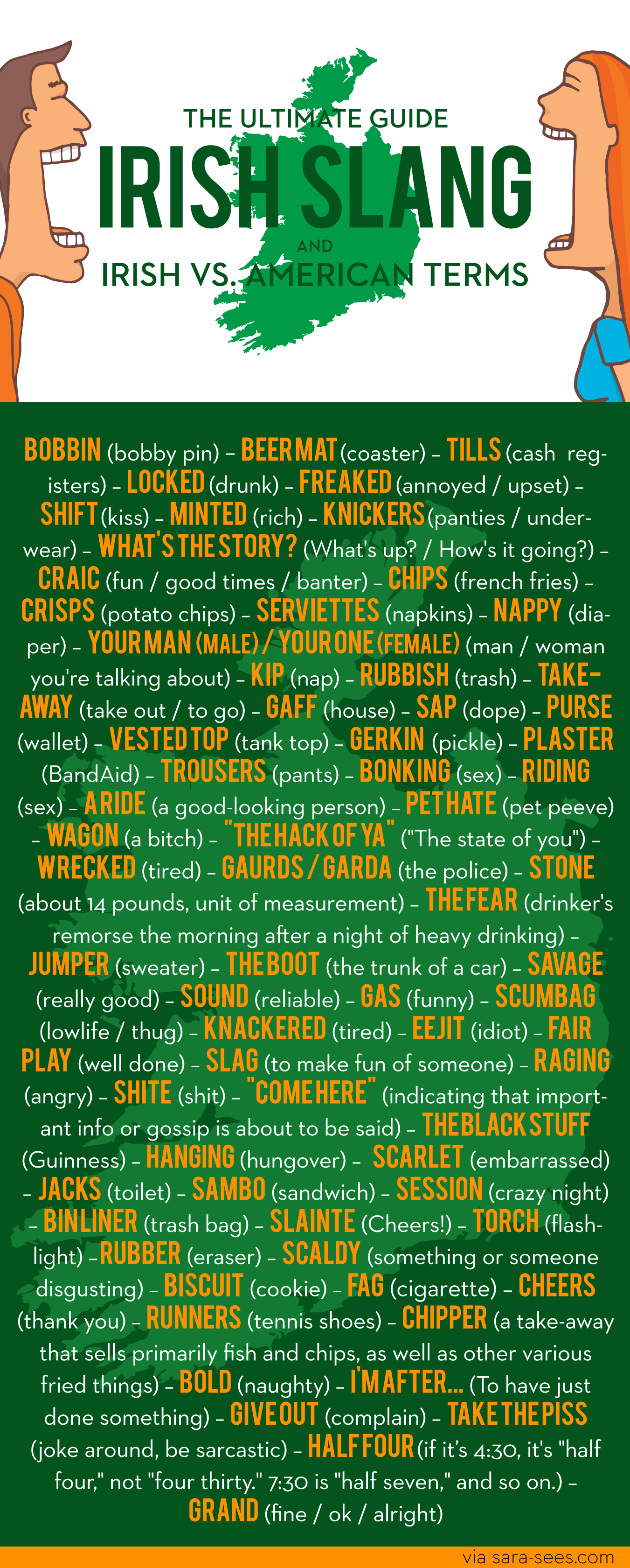 THE Ultimate Guide To Irish Slang + Irish Vs. American Terms | SARA SEES