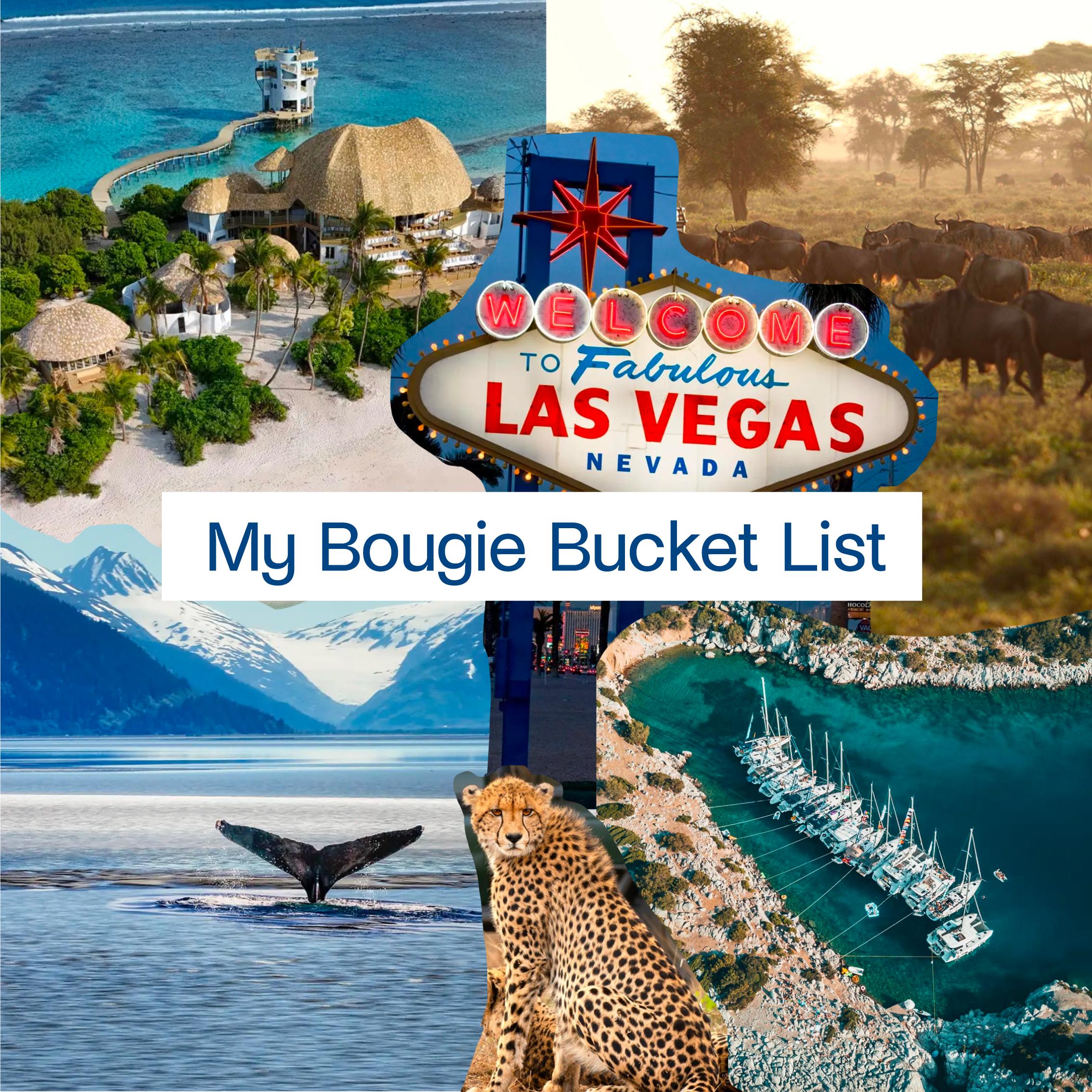 Bougie Bucket List